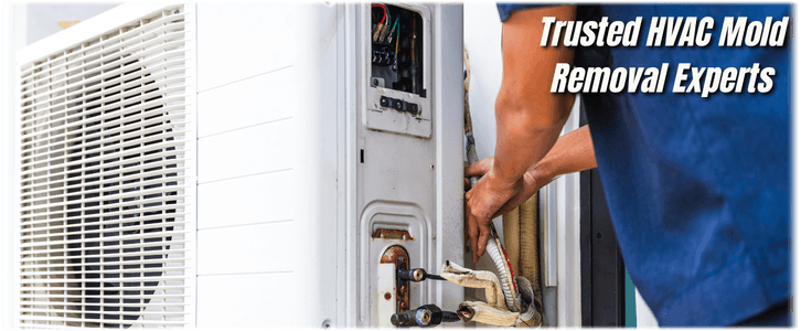 HVAC Mold Removal Chandler AZ